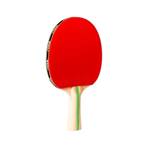 PALETA RAQUETA PARA TENIS DE MESA PING PONG 1 ESTRELLA BLAZE STIGA  - Imagen 4